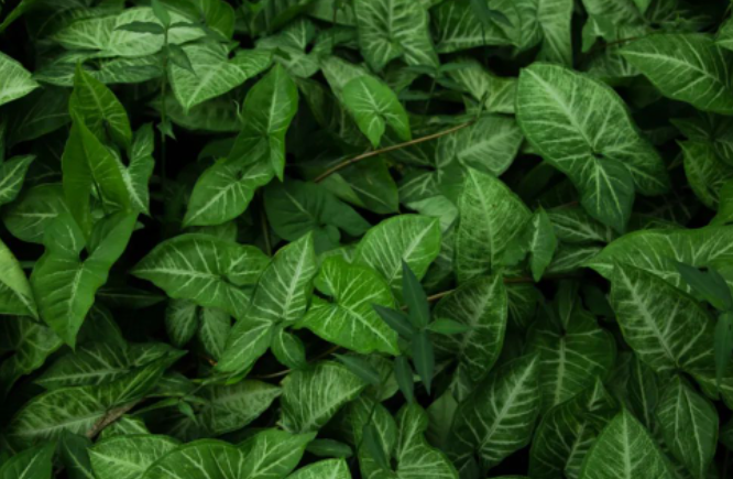 如果来世有今生 愿他重走人生路的图片 如果来世有今生 愿他重走人生路