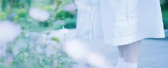 在海棠花的凋落里的图片 在海棠花的凋落里