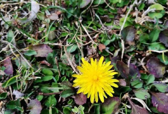 雨潺潺的图片 雨潺潺