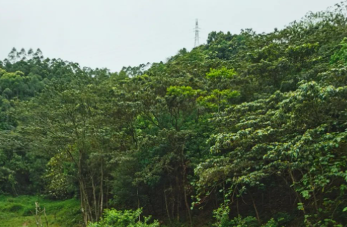 三个女人相爱相杀了30年的图片 三个女人相爱相杀了30年
