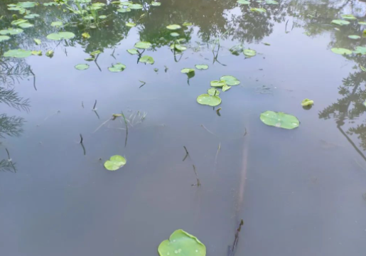 侘寂之境的图片 侘寂之境