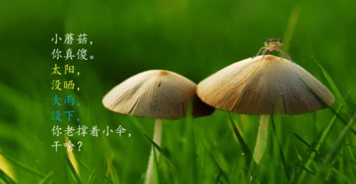 谈谈晨诵课程的实用价值的图片 谈谈晨诵课程的实用价值