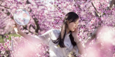 我的失眠是一场桃花劫的图片 我的失眠是一场桃花劫