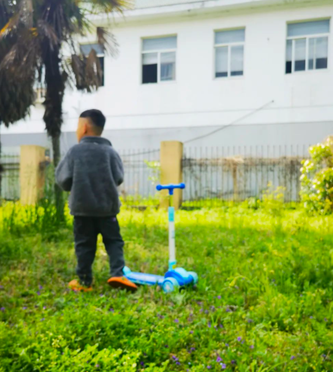 寻附地菜和斑种草,遇见最美的花朵的图片 寻附地菜和斑种草,遇见最美的花朵