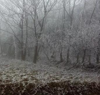 云南的雪的图片 云南的雪
