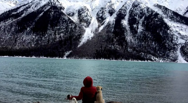 假如人类只有八天生命的图片 假如人类只有八天生命