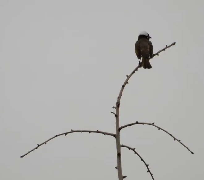 快乐与歉意的图片 快乐与歉意