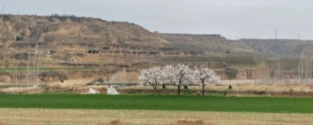 没想到,两三场雨下的,天气又开始冷了。的图片 没想到,两三场雨下的,天气又开始冷了。