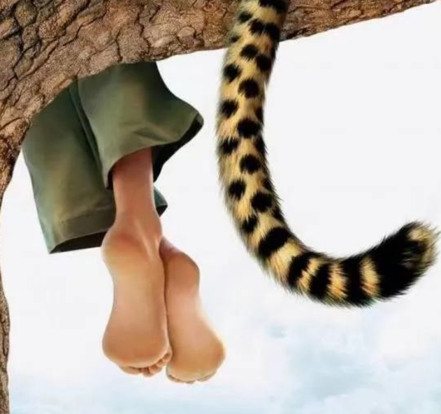 假日虚荣记的图片 假日虚荣记