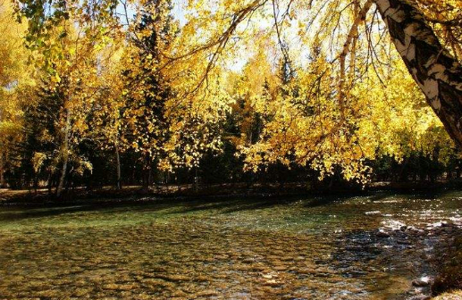 秋来了的图片 秋来了