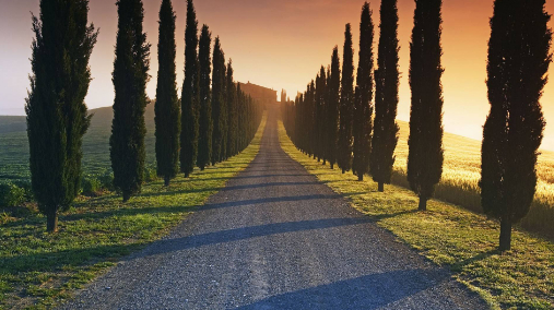 去过很多地方的图片 去过很多地方