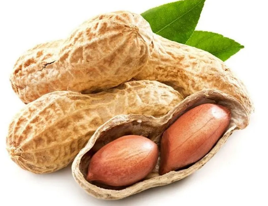 童年时代:花生的回忆的图片 童年时代:花生的回忆