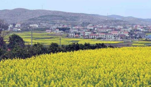 日暮乡关,远去的故乡的图片 日暮乡关,远去的故乡