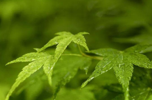 景色美!人更美!的图片 景色美!人更美!