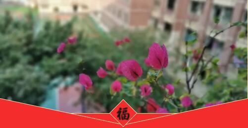 生活中的温暖的图片 生活中的温暖