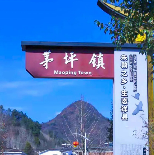 茅坪的脚印的图片 第1张 茅坪的脚印