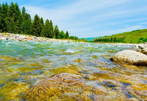 目标力优势者的困局的图片 目标力优势者的困局