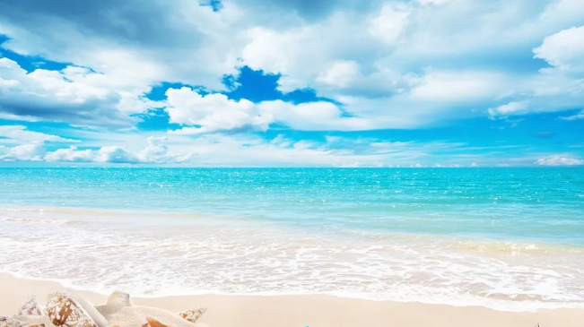 我才是我的知己