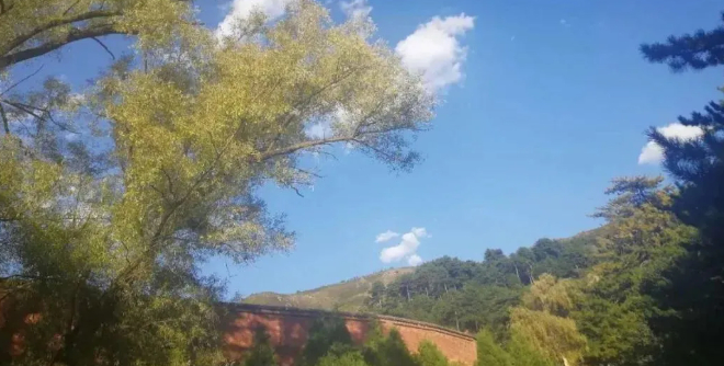 无我的图片 无我