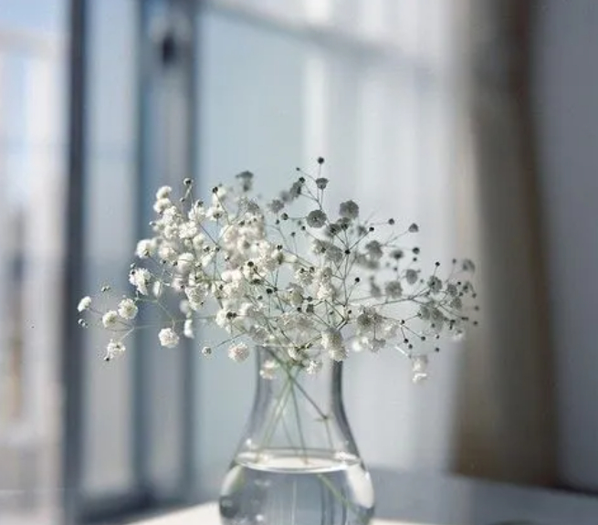 居家隔离日记(三)的图片 居家隔离日记(三)