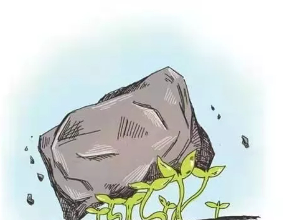 顺境中疾驰，逆境中成长