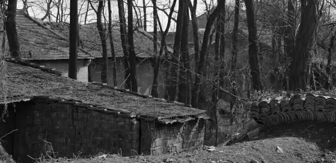 天天向上 天天向上的图片 天天向上 天天向上