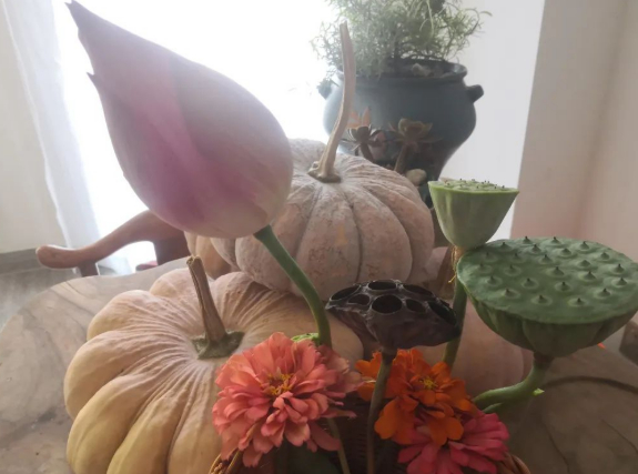 饭局,会不会扯出什么鸟蛋来的图片 饭局,会不会扯出什么鸟蛋来