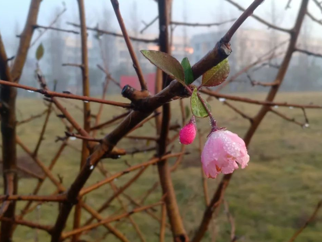 这是怎么发生的的图片 这是怎么发生的