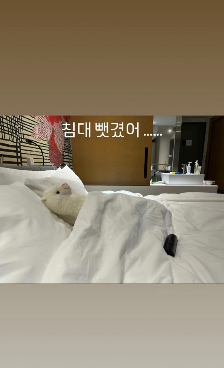 ShowMaker更新ins整活:床被羊驼抢了