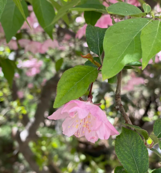 五彩的世界的图片 五彩的世界