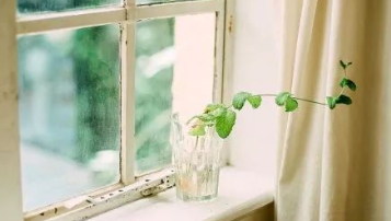 生命里有些东西很奇妙的图片 生命里有些东西很奇妙