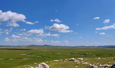 乃林榆鼓的故事的图片 乃林榆鼓的故事