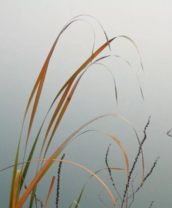 十月,记事的图片 十月,记事