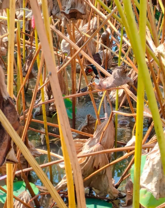 忽然想流泪，不明所以