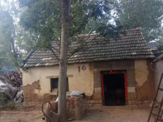 梦中梨花开的图片 梦中梨花开