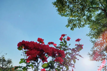 漫时光的图片 漫时光