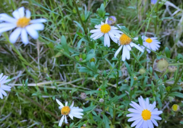 光明是有启示意味的的图片 光明是有启示意味的