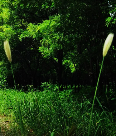 一个爱动的我的图片 一个爱动的我