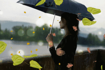 秋风里那些宁静的时光的图片 秋风里那些宁静的时光