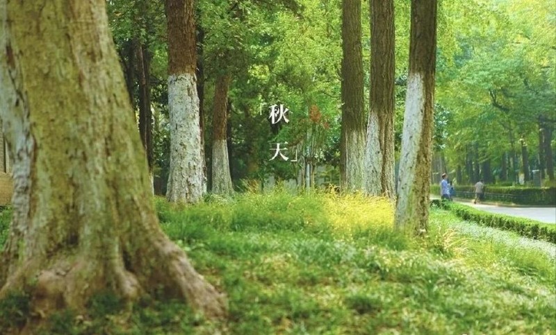 我们已经抵达了秋的图片 第1张 我们已经抵达了秋