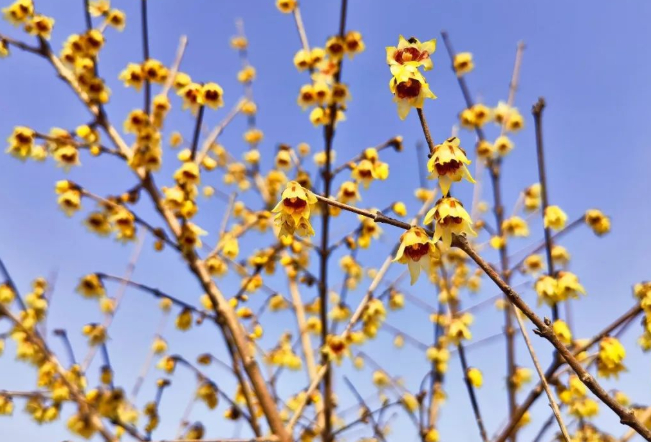 漫漫山川终有色的图片 漫漫山川终有色