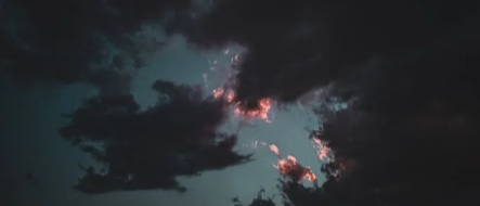 我心深处,有一束芭蕉的图片 我心深处,有一束芭蕉