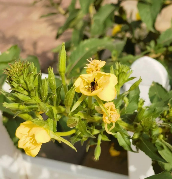 要做个可爱的人啊的图片 要做个可爱的人啊