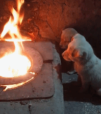 上海从夏天到冬天，零过渡的感觉，真是太酸爽了