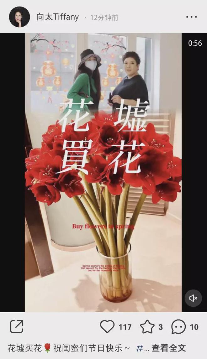 向太妇女节买花宠儿媳,郭碧婷甜喊妈妈,麦克风意外抢镜像摆拍