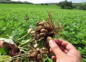 秋天的故乡的图片 秋天的故乡