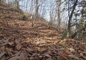 进山杂记的图片 进山杂记