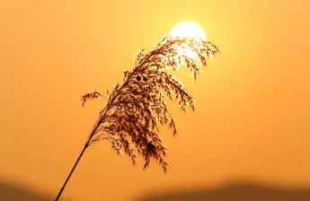 立冬的图片 立冬