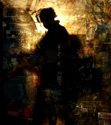 黄昏有花儿飞过的图片 黄昏有花儿飞过