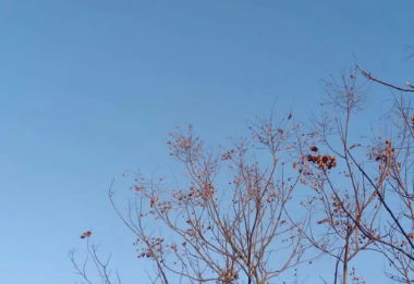 随记：大欢喜、大自在